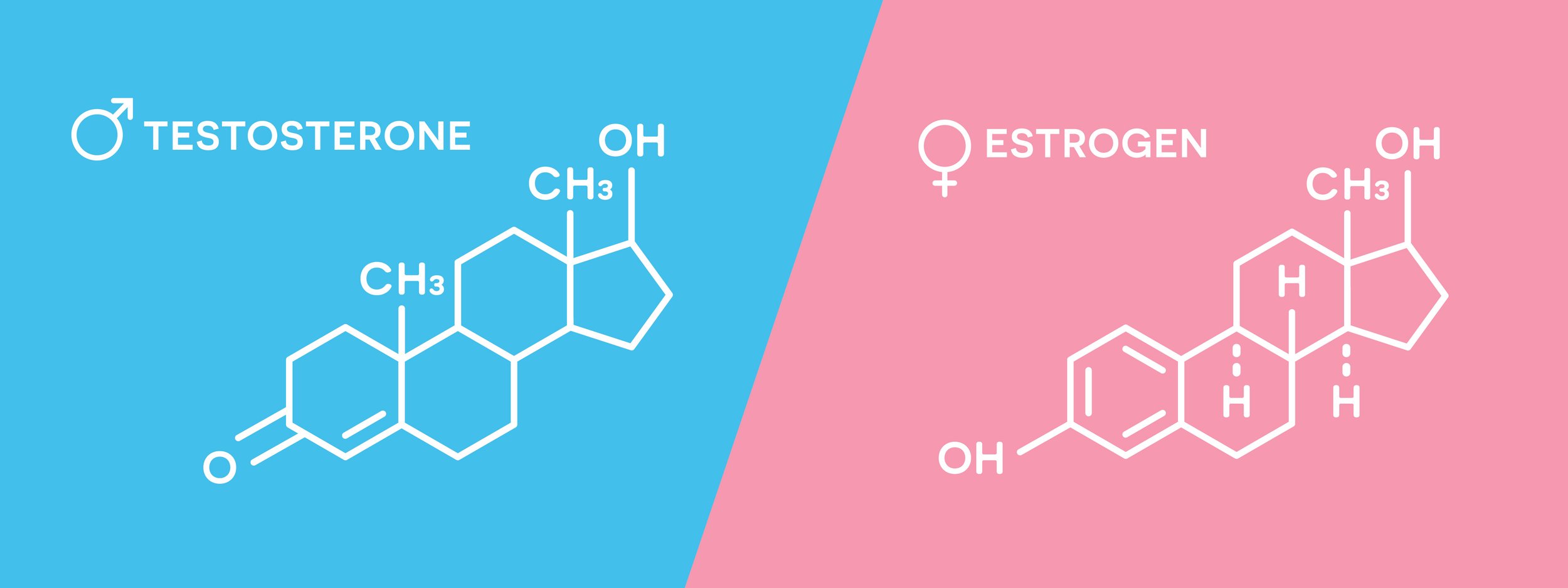 Chemical structures of testosterone, shown with the male symbol on a blue background, and estrogen, shown with the female symbol on a pink background